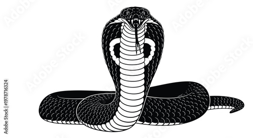 Black cobra snake standing upright with hood raised