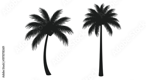 Silhouetted palm trees against a stark white background tropical vegetation