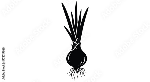 A striking black silhouette depicts a stylized onion with roots and sharply pointed leaf blades silhouette high quality