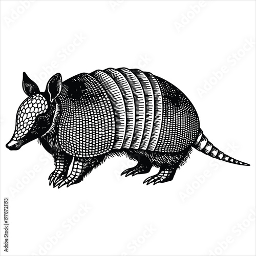 Detailed Black‑and‑White Engraving Style Illustration of an Armadillo with Segmented Armor