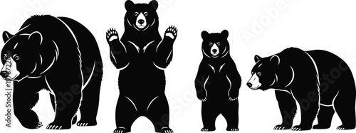 Black bear silhouette set walking standing and sitting grizzly bear illustration collection, wild predator animal silhouettes isolated on white background .