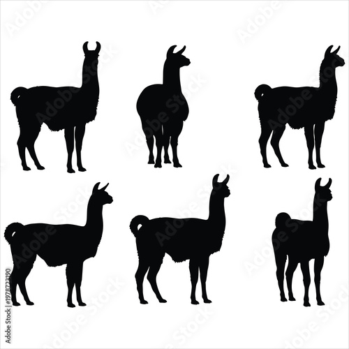 Collection of six llama silhouettes