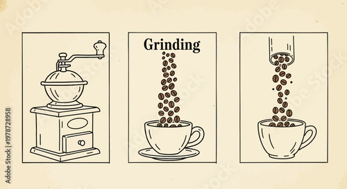 Coffee grinding process illustration