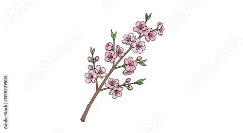 Pink flowers on a branch.