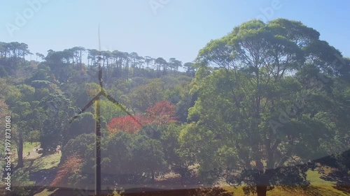 Large canopy tree occupying right as turbine spinning on hillside with reflection band, copy space
