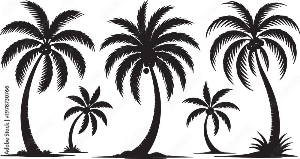Fototapeta premium Tropical palm tree silhouettes on transparent background different sizes and shapes vector illustration.