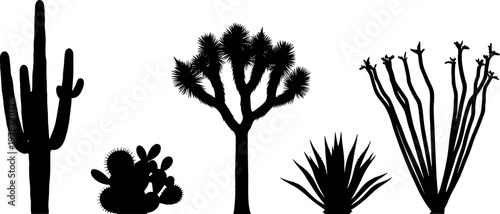 Set of desert plants silhouettes including saguaro cactus, joshua tree, agave and ocotillo