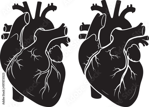 Two human hearts in black silhouette style with black and white health care graphic design well being cardiology illustration silhouette biological medicine research hospital survival