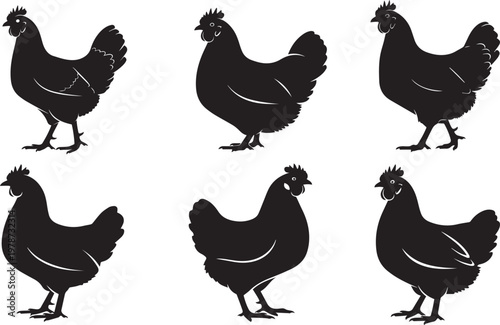 Set of Rooster and Chicken Character Vector Illustrations