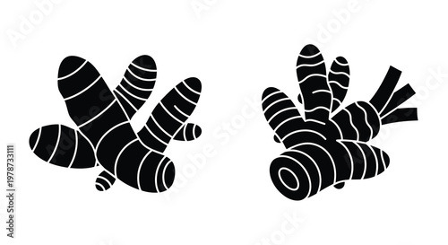 Black and white illustration of two groupings of turmeric roots