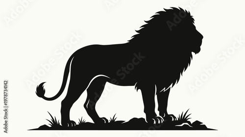 Silhouette of a male lion standing.