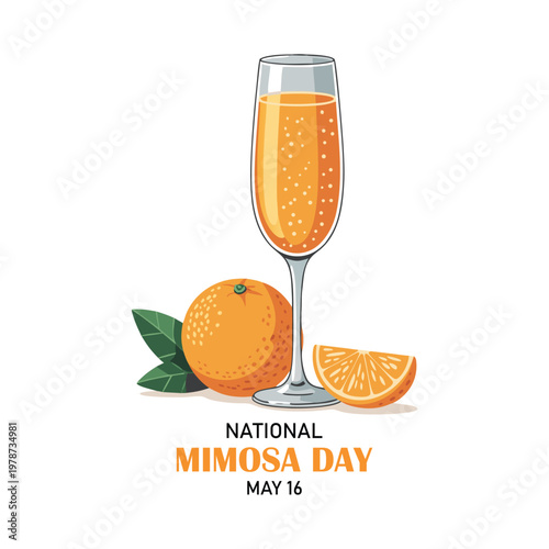 National Mimosa Day vector illustration. Mimosa cocktail with oranges icon set vector. Champagne flute with orange juice drawing. May 16 every year. Important day