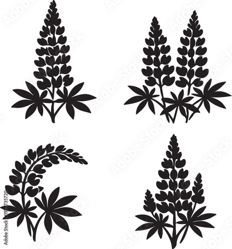 lupine flowers set silhouette vector designs