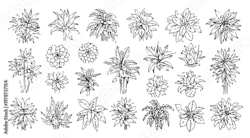 Hand drawn set of tropical plants, exotic leaves and garden flowers vector sketches in engraved style
