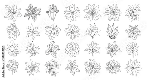 Hand drawn botanical set of garden flowers and leaves vector sketches in pen line art style