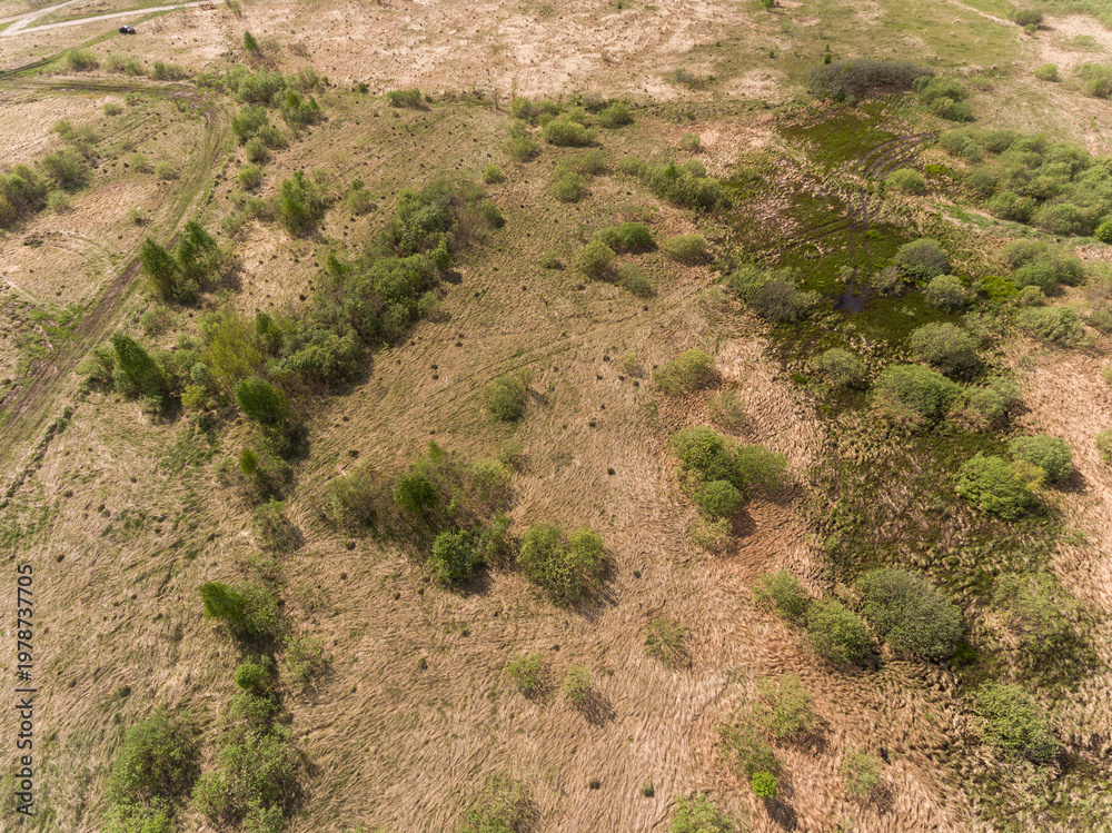 Fototapeta premium Dry grassy land with scattered bushes and dirt paths in the open field