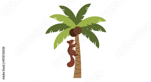 Active brown squirrel ascends the slender trunk of a tropical palm tree towards two coconuts in a bright and airy minimalist white background environment.