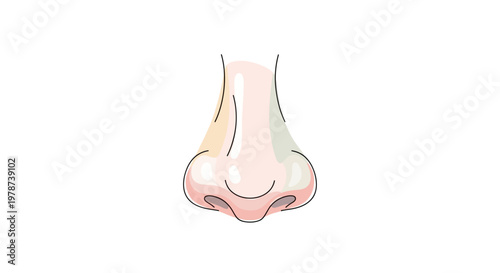Human nose close up illustration.