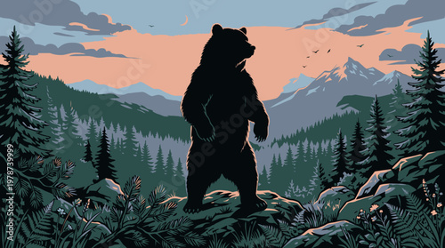 Large black bear standing on rocks.