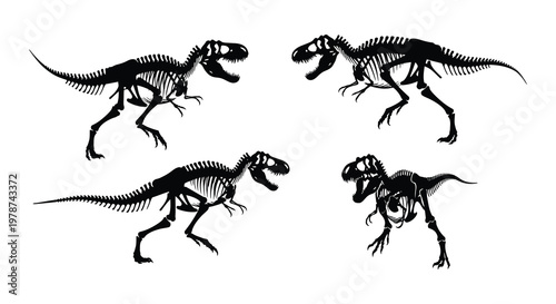 Four tyrannosaurus rex skeletons depicted in various dynamic poses