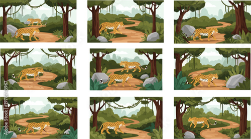 Leopard in forest path vector set wild jungle animal scenic landscape safari illustration collection nature design
