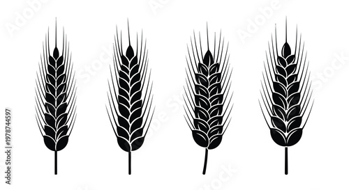Black and white illustration depicting several stalks of wheat