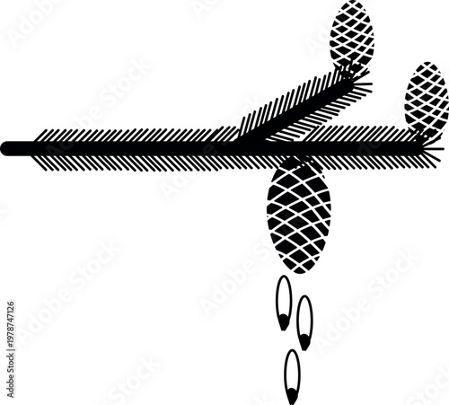 Stylized conifer branch with seed cones and pollen cones vector illustration