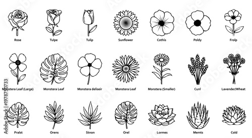 Quadro su tela A collection of various flower and leaf illustrations with labels