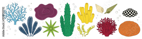 Large collection of colorful coral reef elements featuring diverse sea plants shells and underwater organisms for marine life and ocean conservation concepts isolated on white background