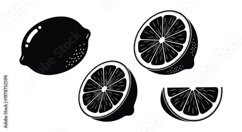 Black and white illustration of sliced and peeled blood oranges