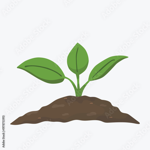 Trees beginning to grow in the soil, protect the earth, eco-friendly