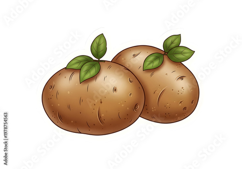 Two whole raw potatoes with green leaves isolated on transparent background