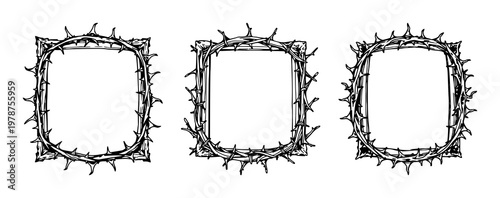 Thorn-covered ornamental frame set with sketchy organic art elements in a detailed frame covered in thorns, featuring line art, botanical, detailed illustration with frames and foliage
