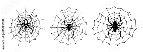 Spider set with a tattered lace web in hand-drawn organic linework featuring arachnids, insects, and nature with Halloween and spooky themes