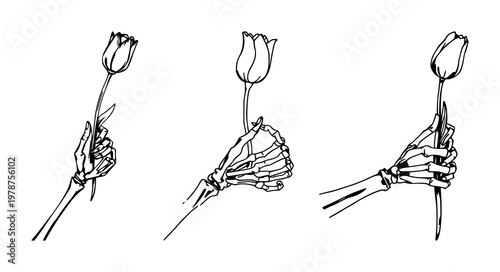 Skeleton hand set with rough sketchy illustration of a skeleton hand grasping a single tulip featuring skeleton, hand, tulip with white background and sketchy style