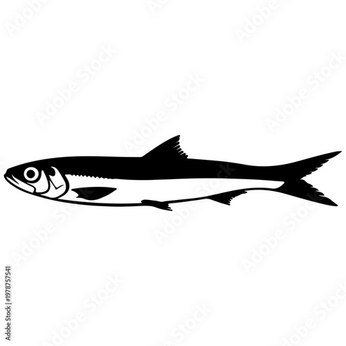 Silhouette of an anchovy fish, isolated on white background