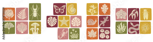 Collection of Stylized Nature Icons Featuring Botanical and Zoological Elements in Muted Earthy Colors, Ideal for Environmental Design and Educational Content, isolated on white
