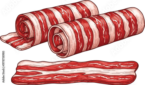 Realistic hand drawn vector illustration of raw bacon strips and rolled pork belly slices for breakfast food menus and butchery