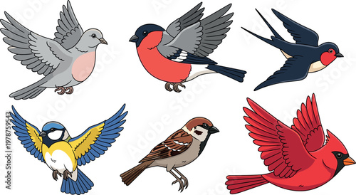 Colorful bird illustrations set featuring flying and perched species in detailed cartoon style for wildlife nature design projects