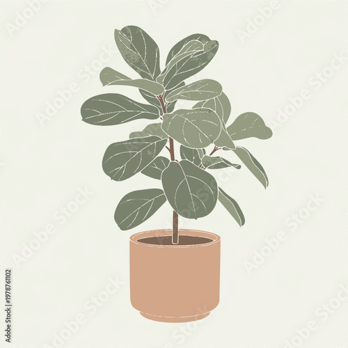 A potted Fiddle Leaf Fig plant sits on a table indoors with green leaves.