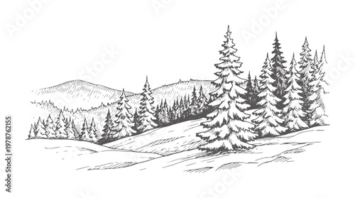 Hand drawn of snow covered pine trees rolling hills winter landscape