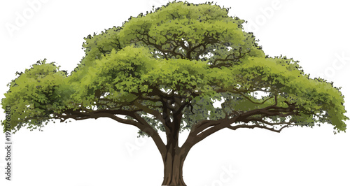 Broad-Canopied Green Tree Vector Illustration for Environmental and Landscape Design Projects