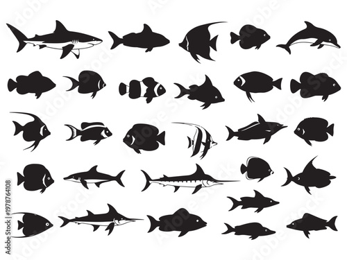 Collection of diverse fish silhouettes: marine life variety with wildlife creature underwater