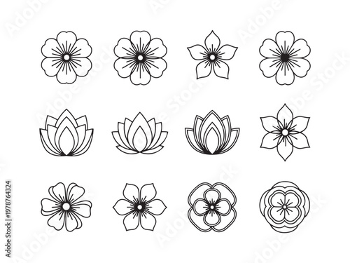 Outline flower collection: assortment of botanical designs with botanical illustration collection