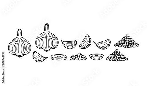 Minimal garlic outline illustration bulbs cloves and peppercorns vector set isolated on white background