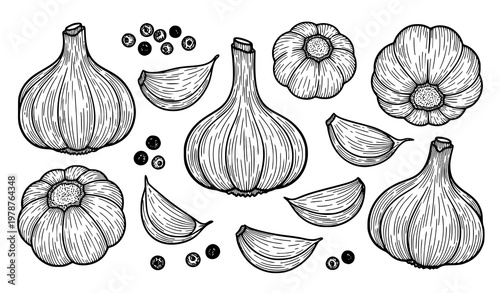 Garlic and peppercorn hand drawn sketch collection black and white vector isolated on white background