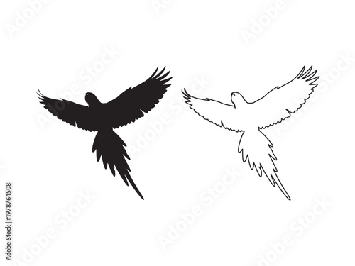 Silhouette and outline of a parrot in flight with silhouette illustration ornithology wildlife