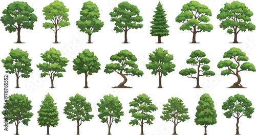 Set of various green tree illustrations for landscape design and architectural plans. Vector collection of different tree types.