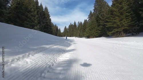 Fpv drone  footage  cross-country skiing on a track through a dense pine forest in winter, oe01