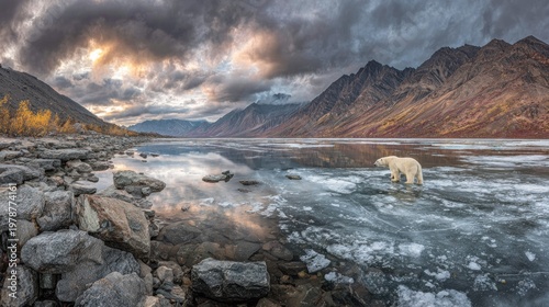 Majestic polar bear traverses fractured ice on a cold lake surrounded by rugged mountains under dramatic sky